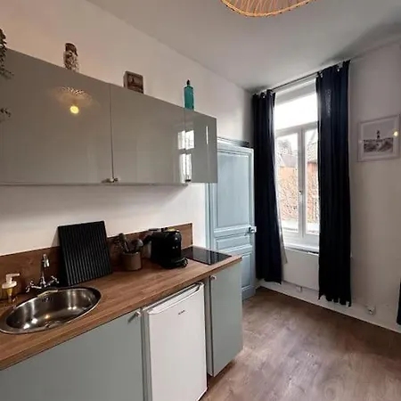 Le Malouin Proche Et Centre