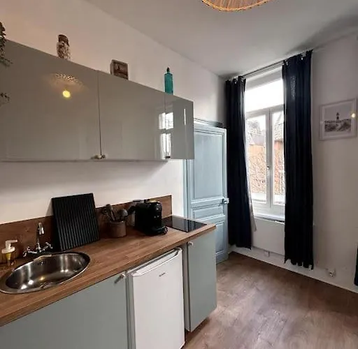 Le Malouin Proche Et Centre